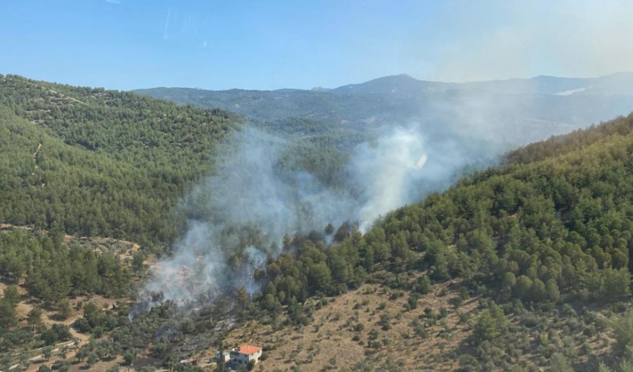  Muğla’nın Milas ilçesinde orman yangını kontrol altına alındı