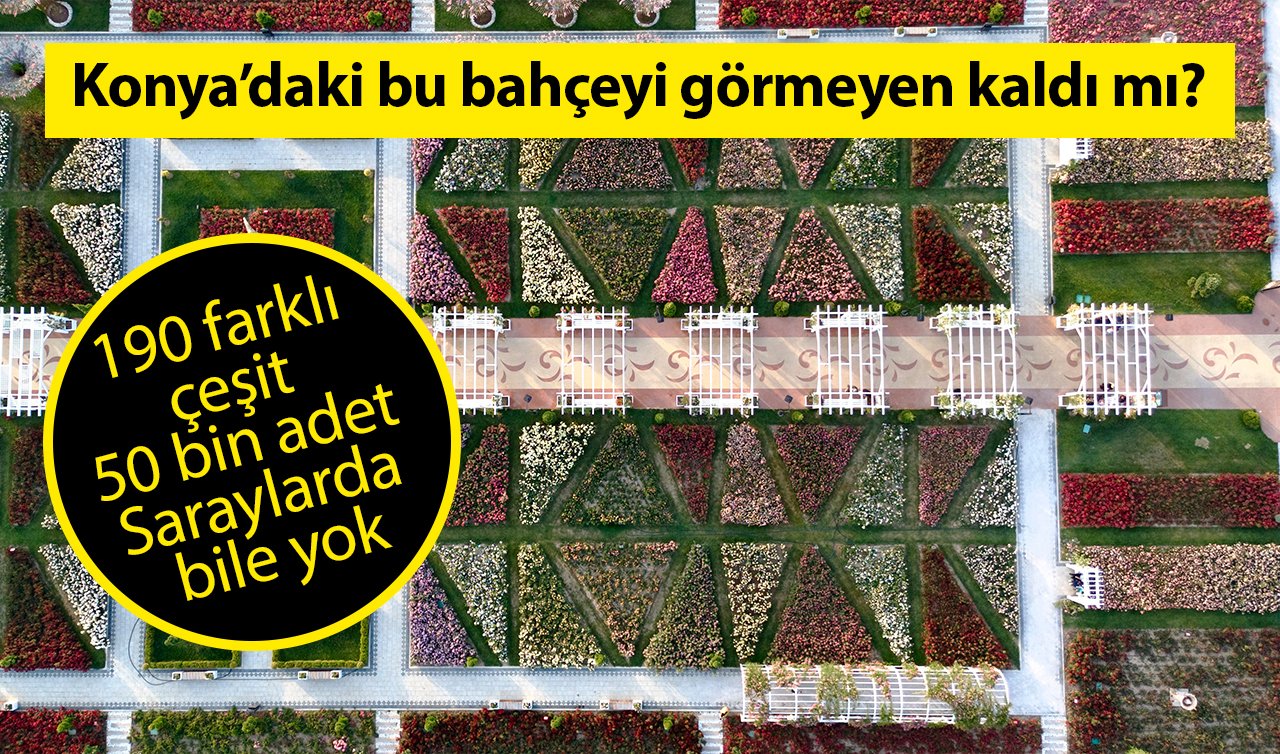  Konya’daki bu bahçeyi görmeyen kaldı mı? 190 farklı çeşit 50 bin adet Saraylarda bile yok