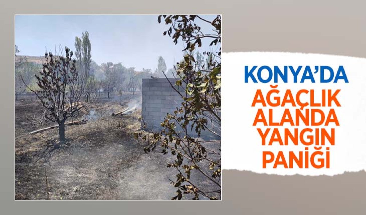  Konya’da ağaçlık alanda yangın paniği