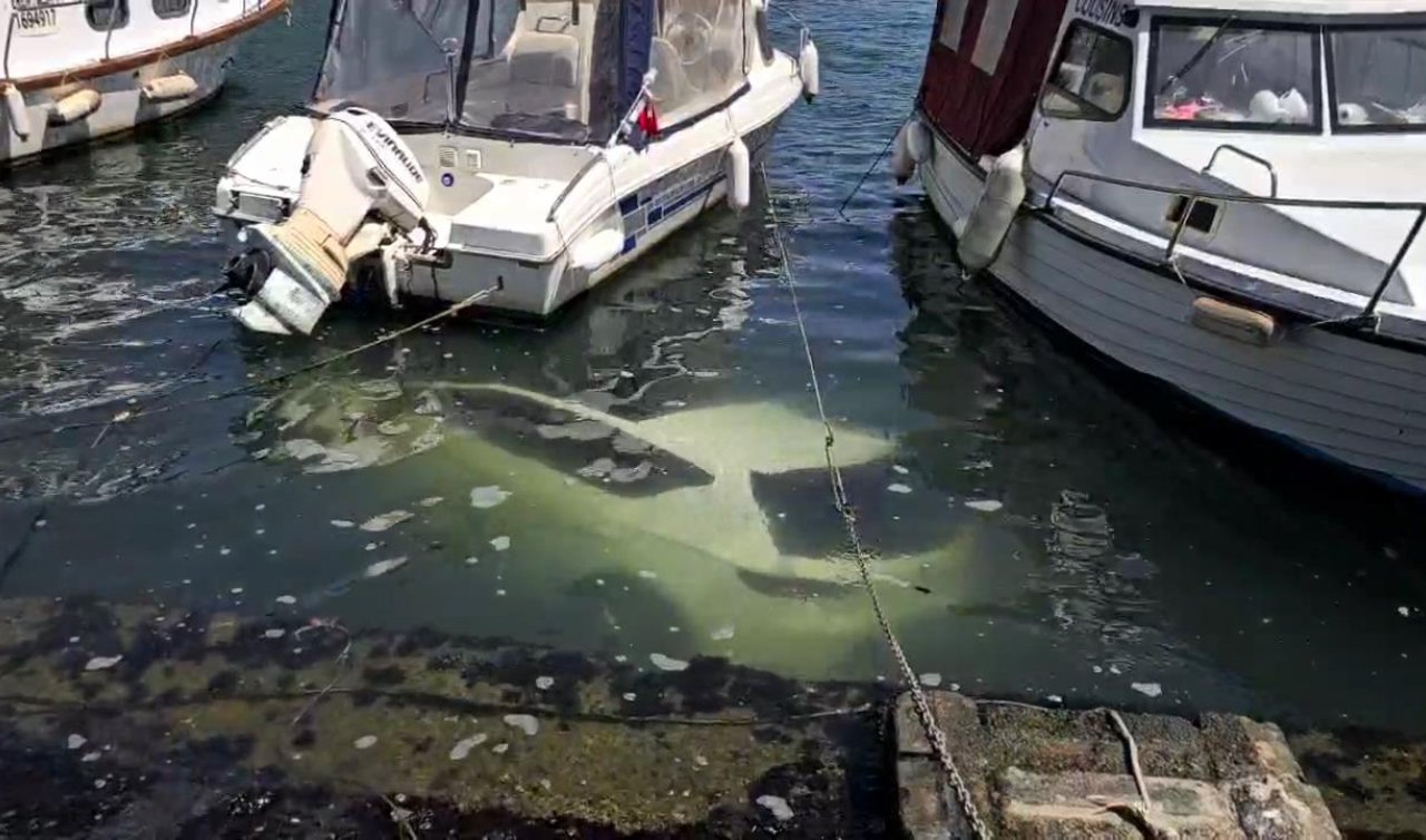  Park etmeye çalışırken otomobil denize düştü; sürücü son anda kurtuldu