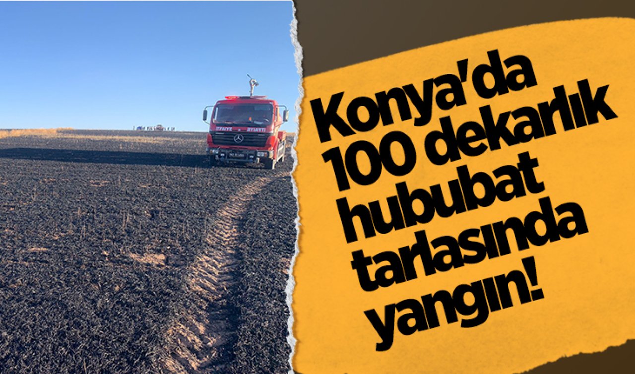 Konya’da 100 dekarlık hububat tarlasında yangın!