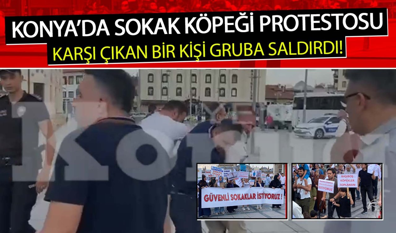Konya’da Sokak köpeği protestosu! Güvenli sokaklar için yürüyüş yapıldı, karşı çıkan bir kişi gruba saldırdı!