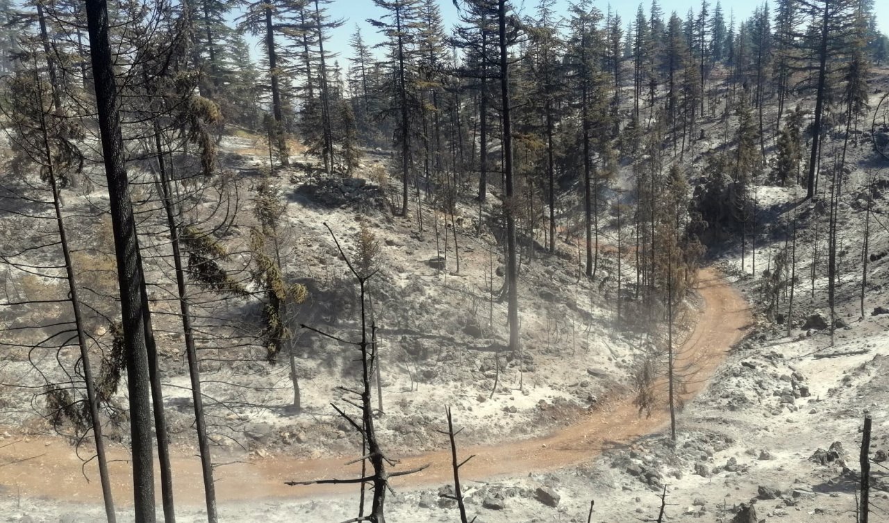 Karaman’daki orman yangını kontrol altına alındı