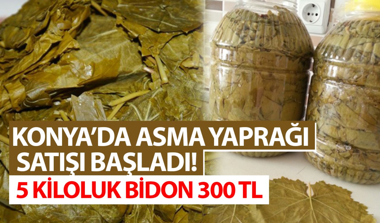 Konya’da bidon bidon asma yaprağı satışı başladı! 5 kiloluk bidon 300 TL