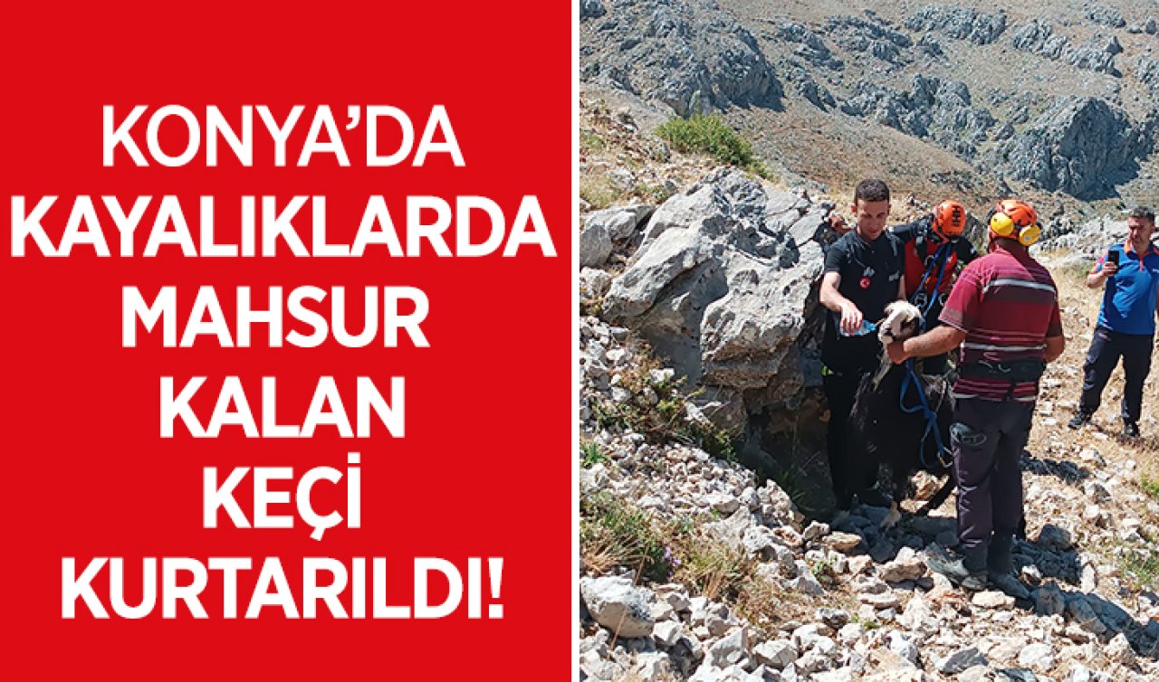 Konya’da kayalıklarda mahsur kalan keçi kurtarıldı!