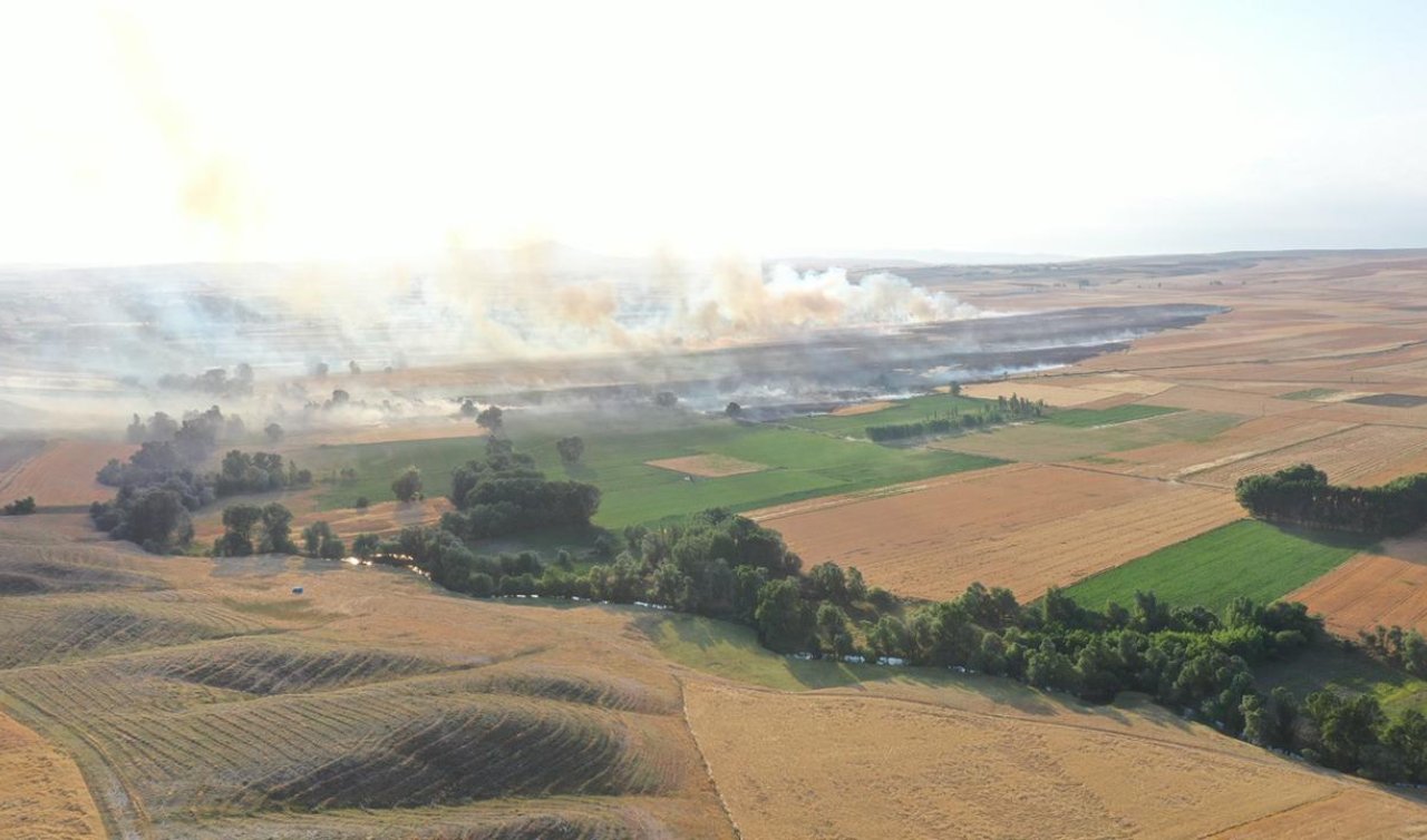 Çiftçinin emeği kül oldu! 1000 dekar buğday tarlası yandı