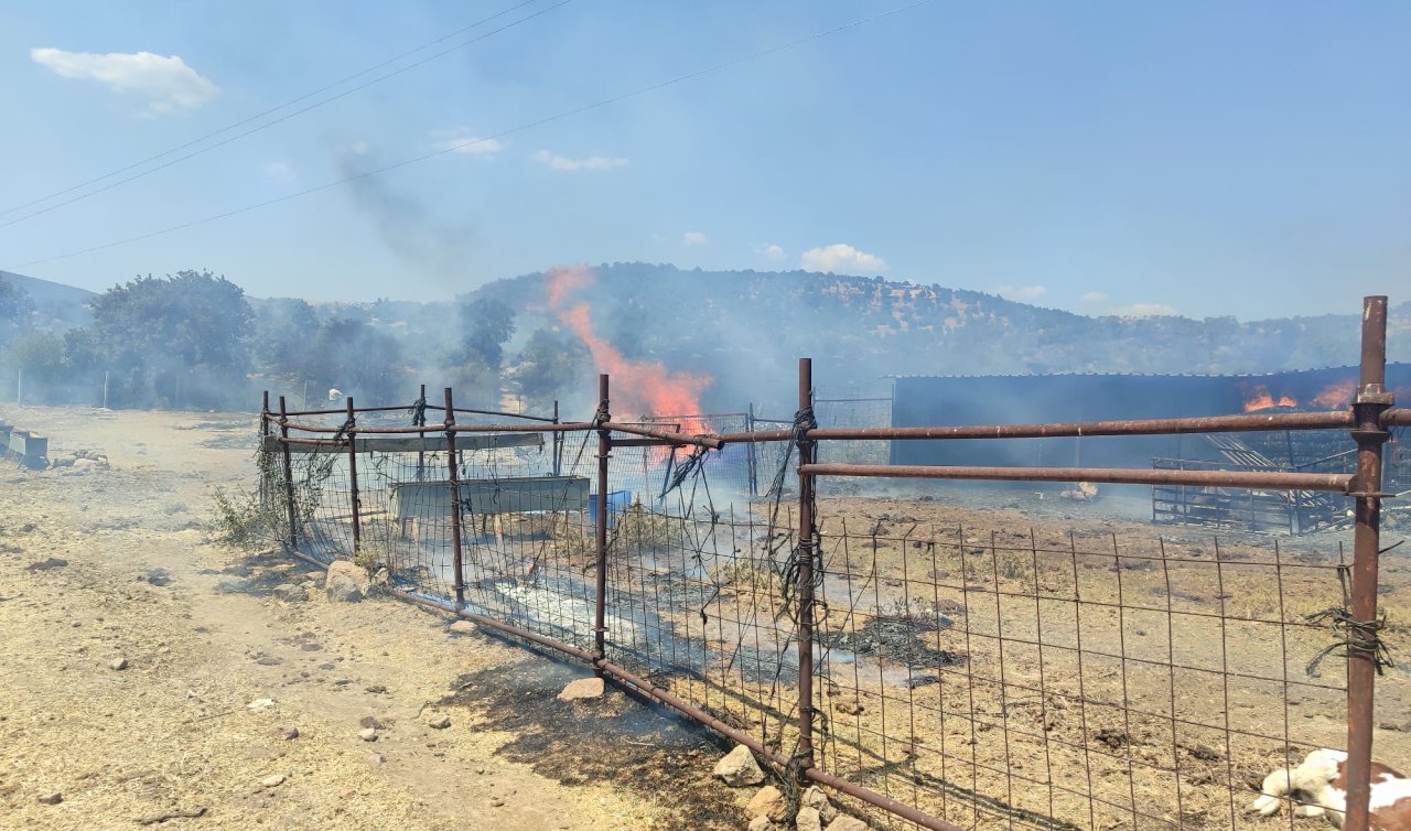 Çanakkale’de zeytinlik alanda çıkan yangına müdahale ediliyor