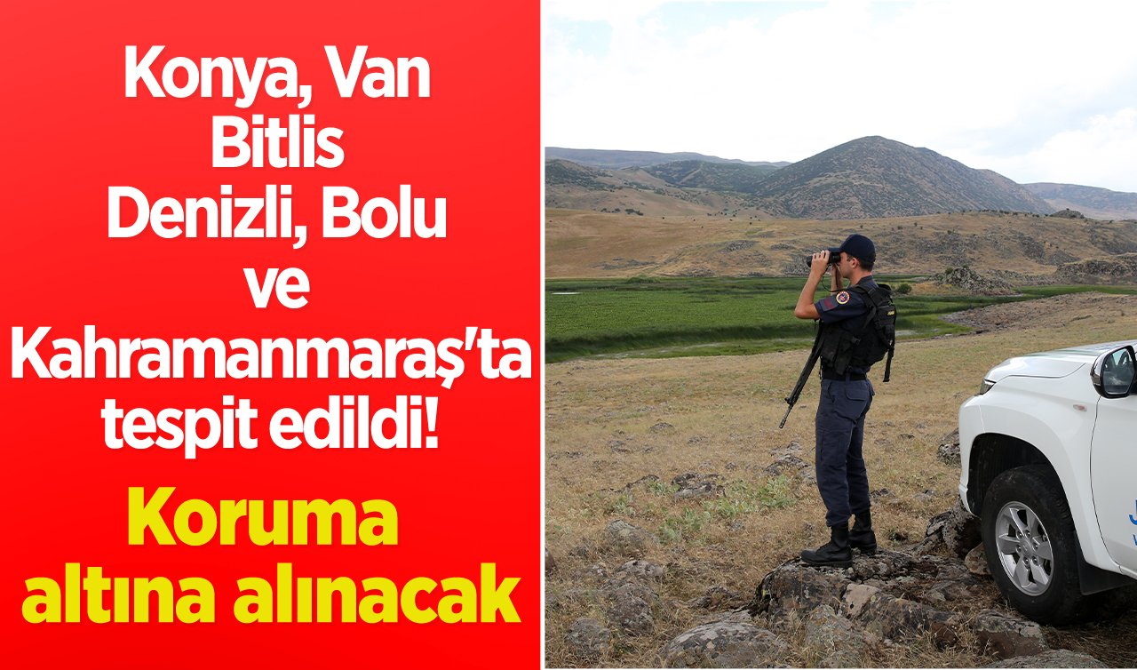  Konya, Van, Bitlis, Denizli, Bolu ve Kahramanmaraş’ta tespit edildi! Koruma altına alınacak