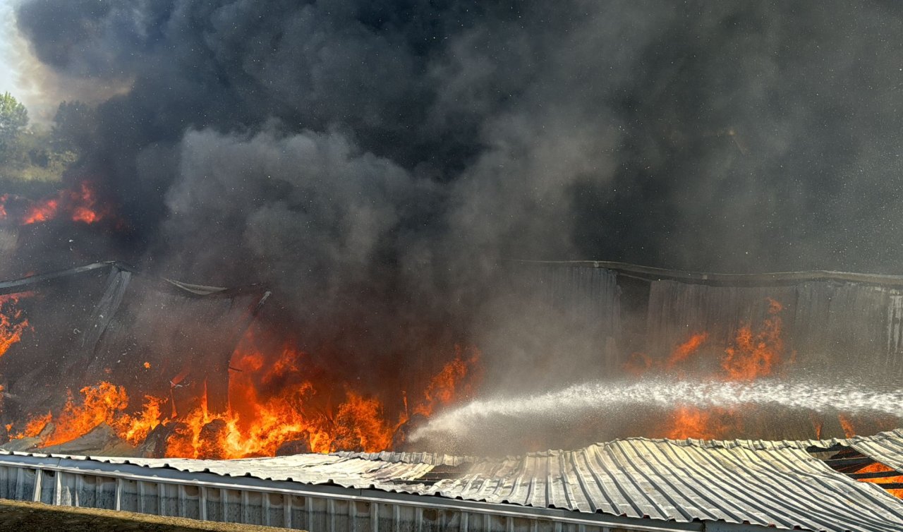 Fabrika ve geri dönüşüm tesisinde çıkan yangına müdahale ediliyor