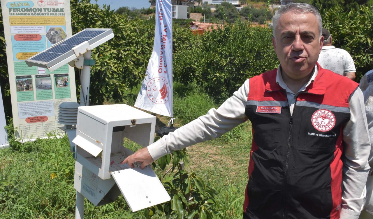  Meyve sineğine karşı mücadele başladı!