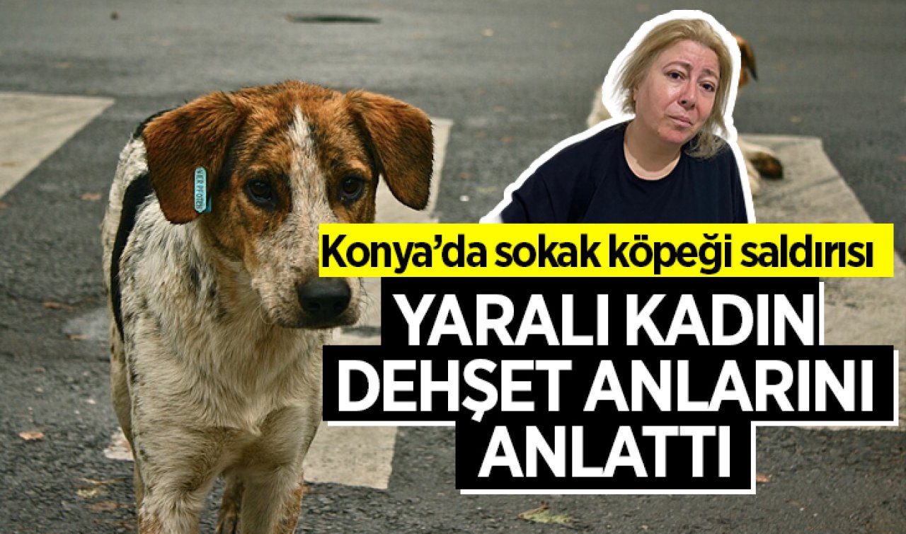 Konya’da sokak köpeği saldırısı! Yaralı kadın dehşet anlarını anlattı