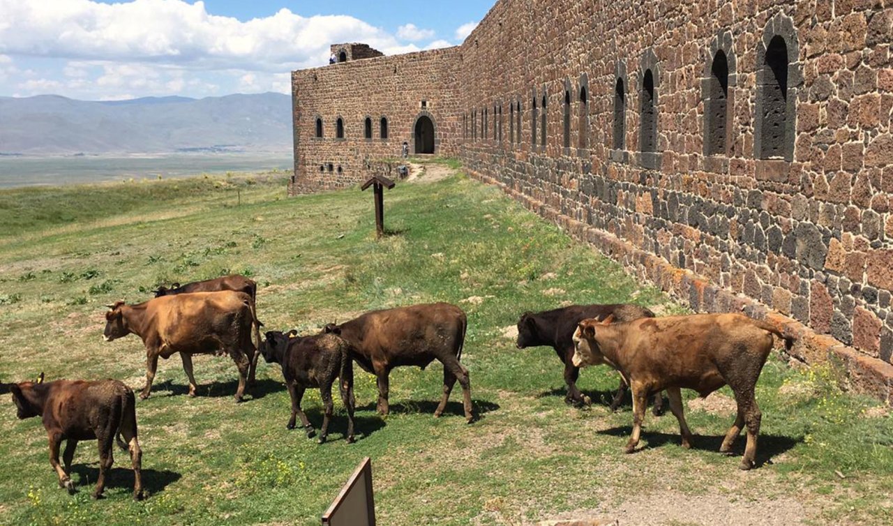  Mecidiye Tabyası “ahıra döndü’’