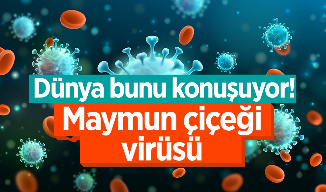 Dünya yeni bir tehlikenin eşiğinde! Maymun çiçeği bulaşıcı mı, Türkiye’de görüldü mü? Maymun Çiçeği hastalığından korunmanın yolları neler?