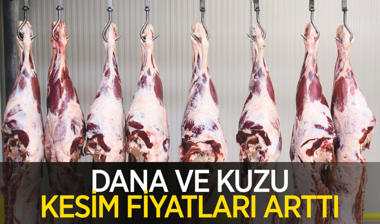  Kesim fiyatları yükseldi! Güncel dana ve kuzu karkas et kesim fiyatları