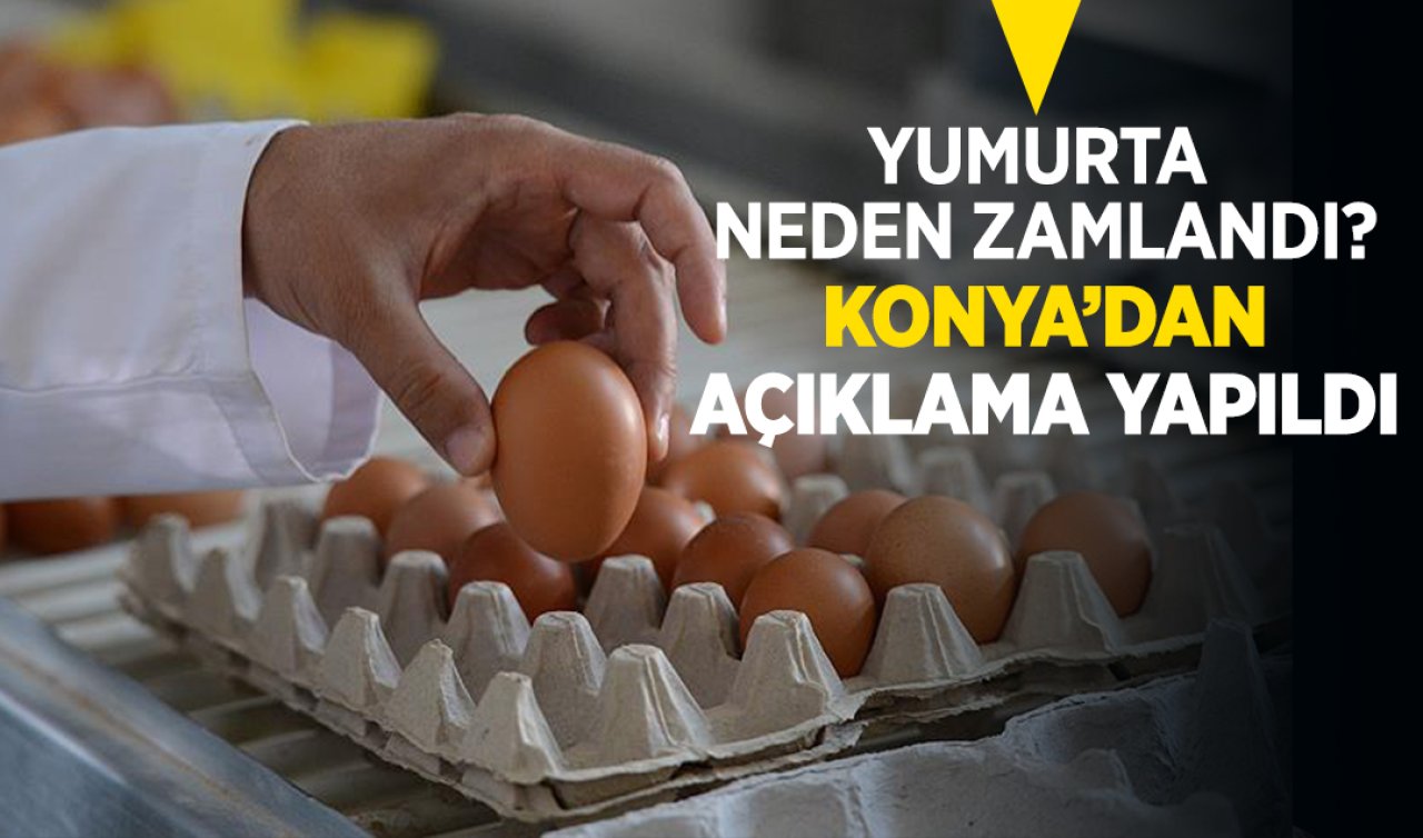 Yumurta neden zamlandı? Konya’dan açıklama yapıldı