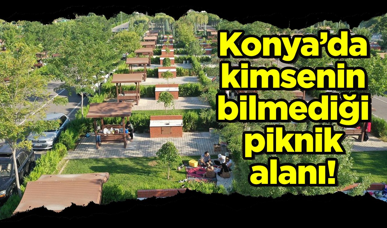  Konya’da kimsenin bilmediği piknik alanı! 