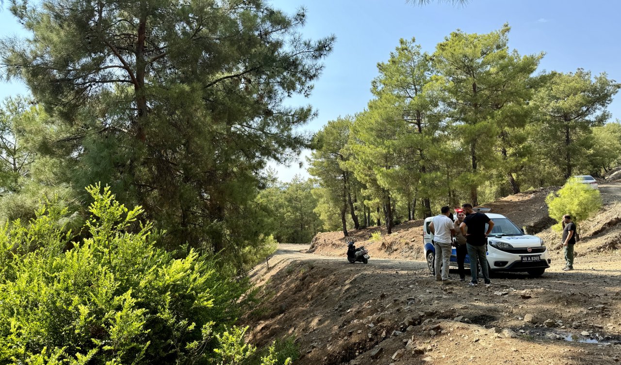  Ormanlık alanda terk edilmiş bebek bulundu