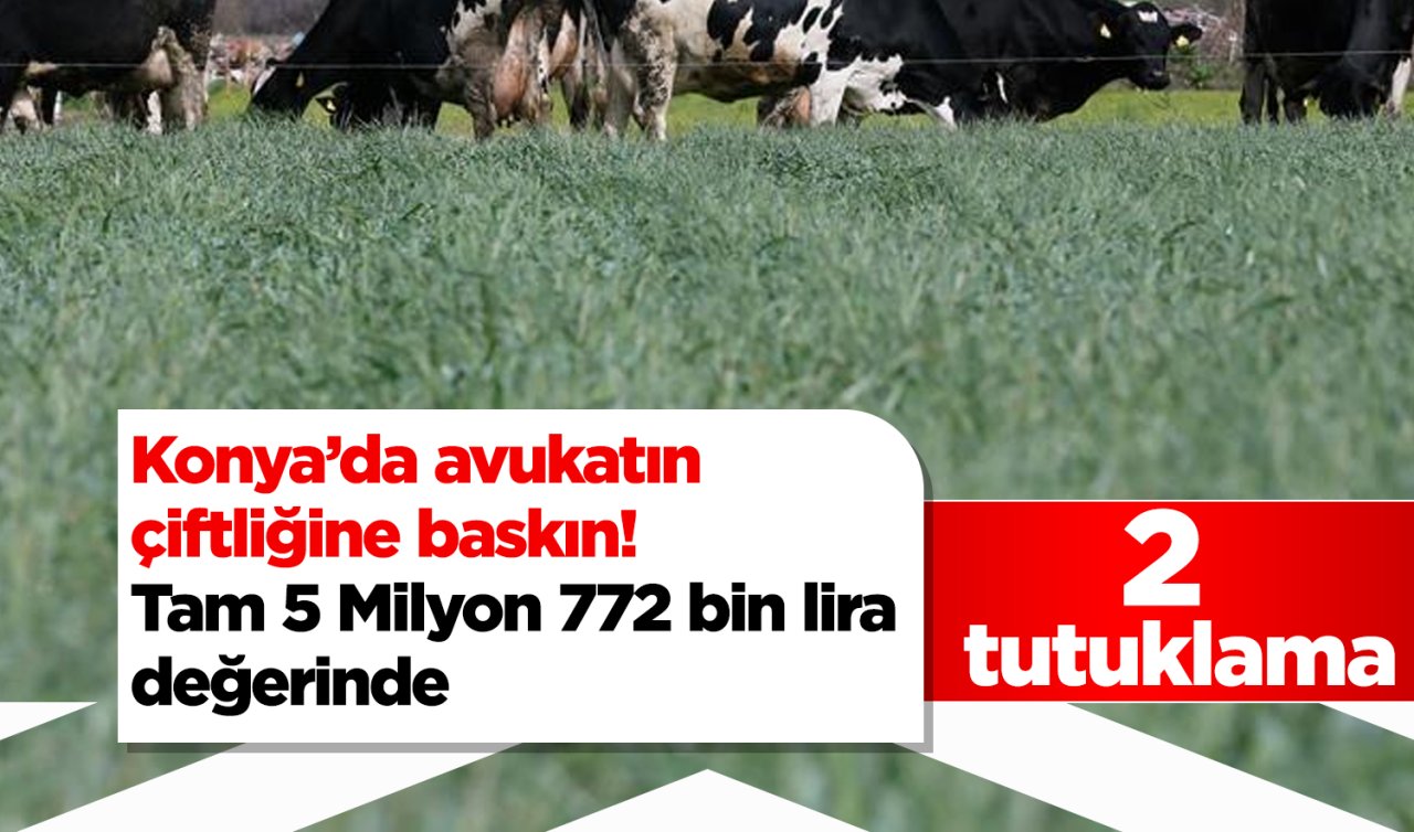  Konya’da avukatın çiftliğine baskın! Tam 5 Milyon 772 bin lira değerinde: 2 tutuklama