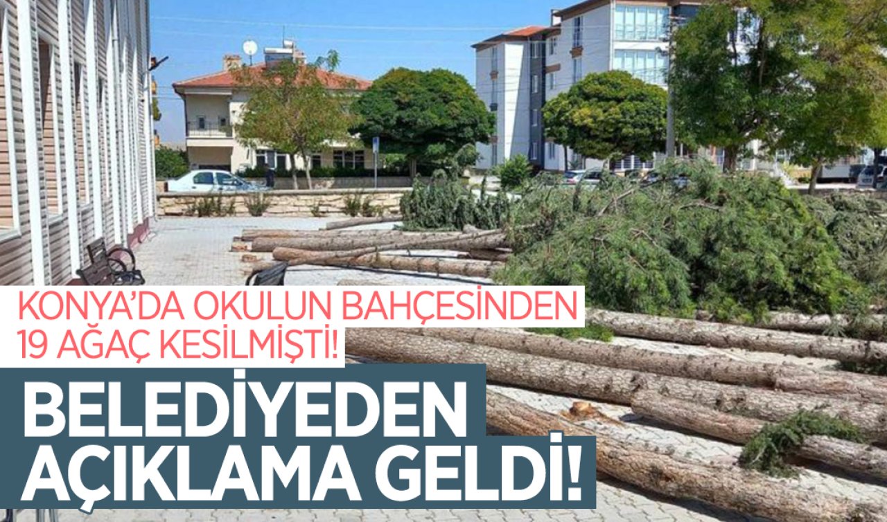  Konya’da okulun bahçesinden 19 ağaç kesilmişti! Belediyeden açıklama geldi