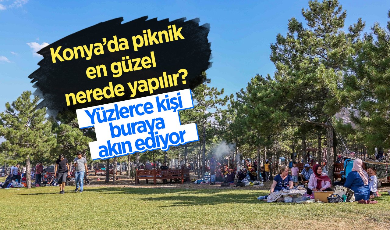  Konya’da piknik en güzel nerede yapılır? Yüzlerce kişi buraya akın ediyor