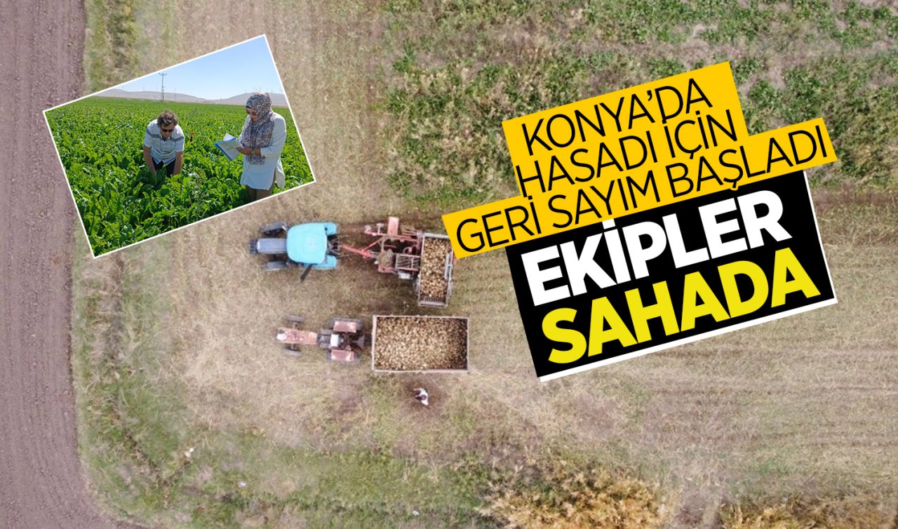  Konya’da hasadı için geri sayım başladı: Ekipler sahada