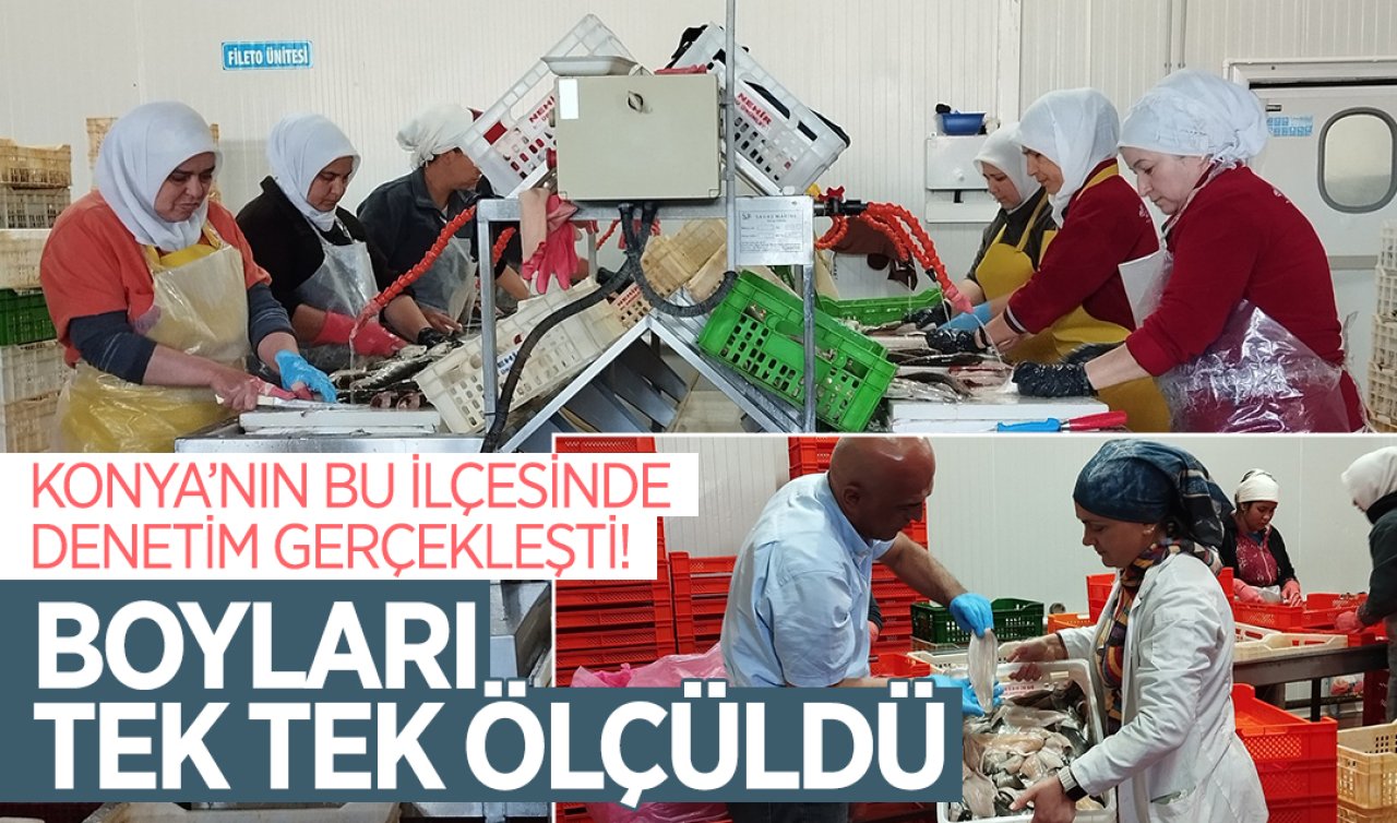 Konya’nın bu ilçesinde denetim gerçekleşti! Boyları tek tek ölçüldü