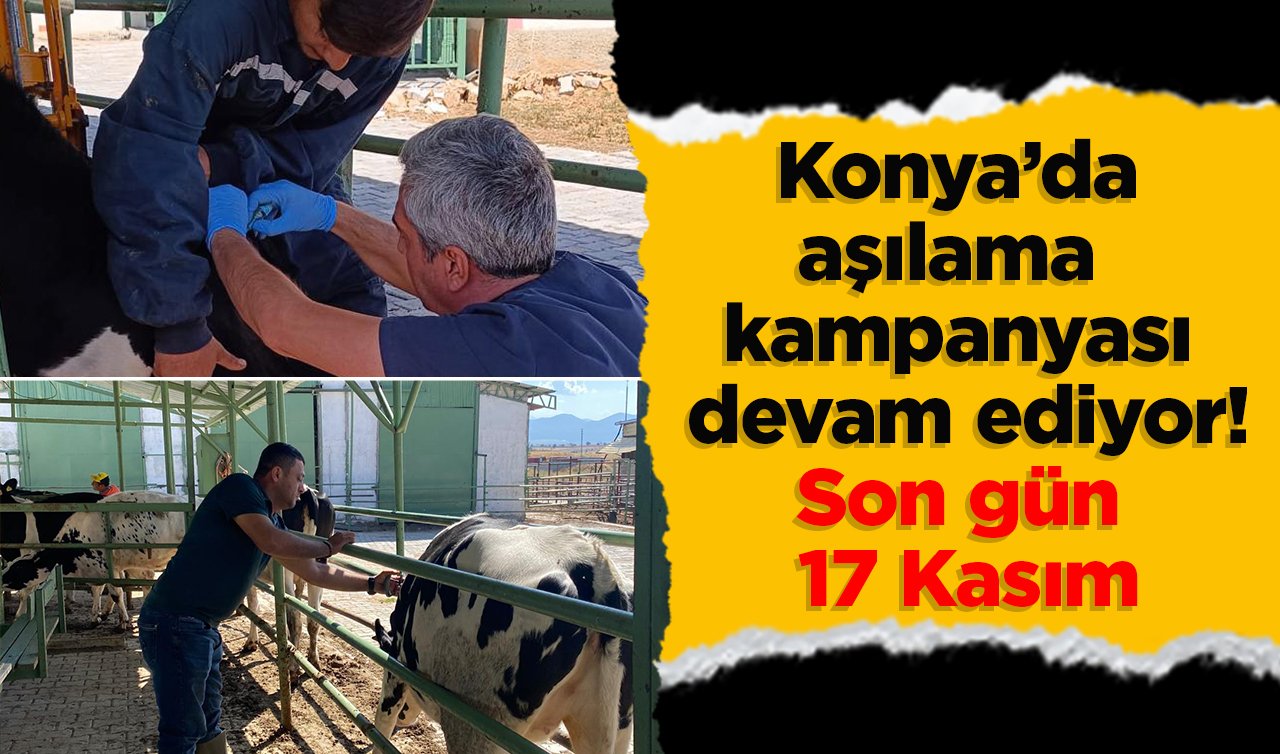 Konya’da aşılama kampanyası devam ediyor! Son gün 17 Kasım