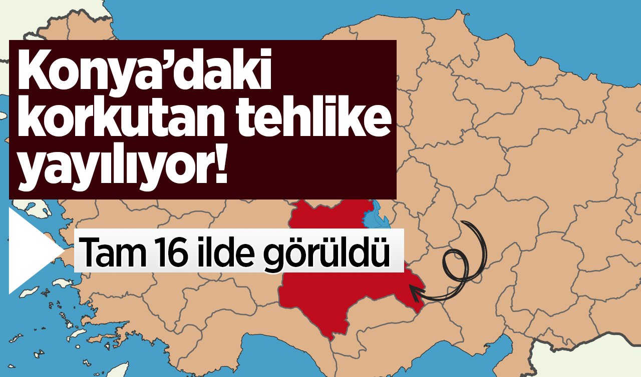 Konya’daki korkutan tehlike yayılıyor! Tam 16 ilde görüldü