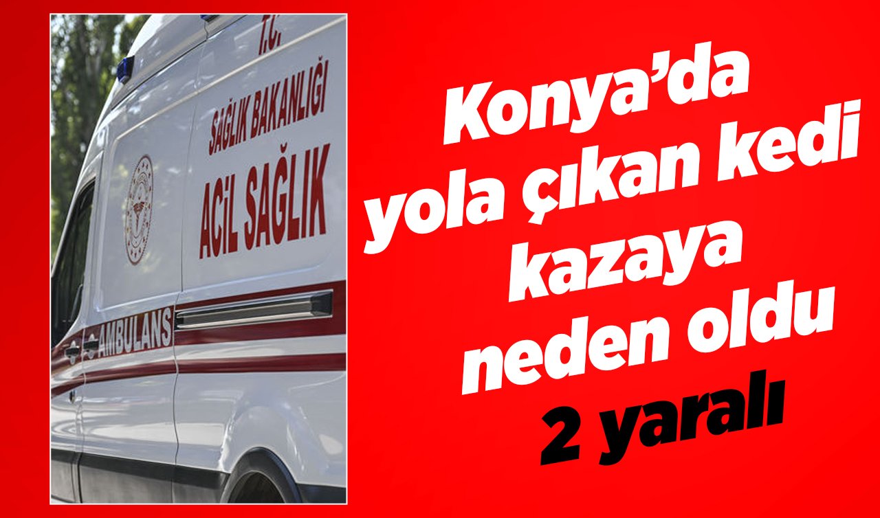  Konya’da yola çıkan kedi kazaya neden oldu: 2 yaralı