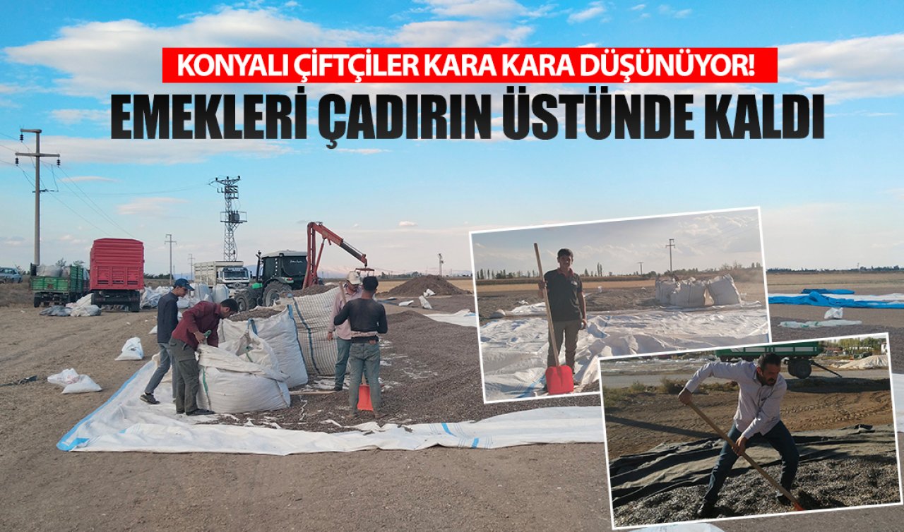  Konyalı çiftçiler kara kara düşünüyor! Emekleri çadırın üstünde kaldı