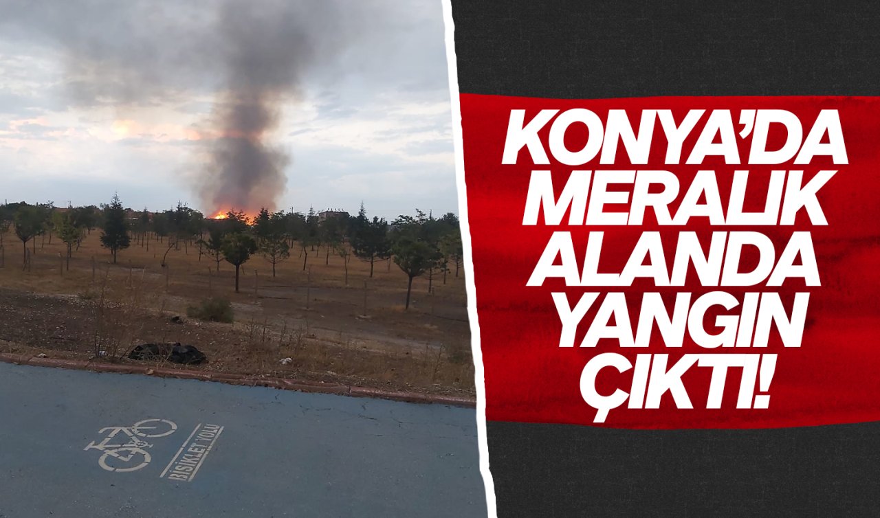 Konya’da meralık alanda yangın çıktı!