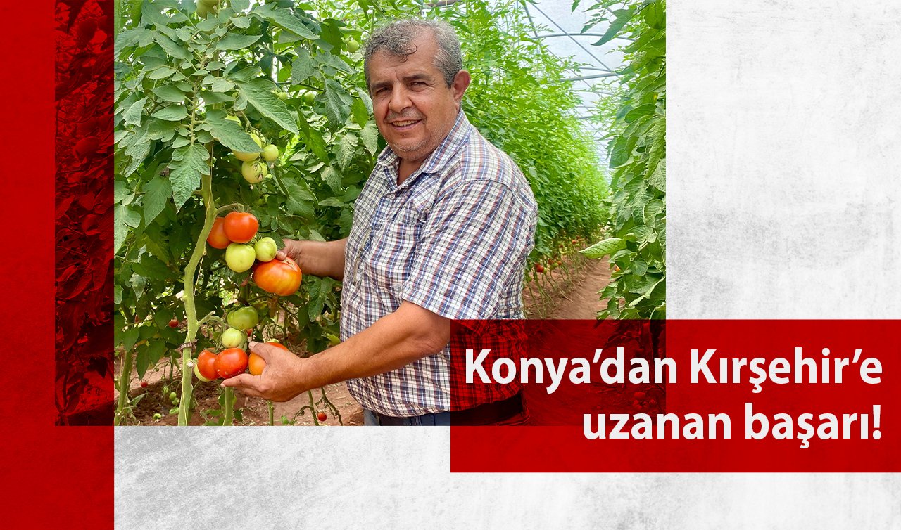 Konya’dan Kırşehir’e uzanan başarı! Kendi arazisine 525 metrekarelik sera kurdurdu