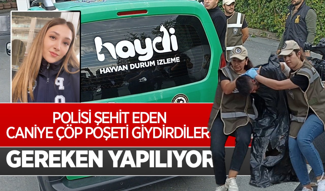 Polisi şehit eden caniye çöp poşeti giydirdiler! Gereken yapılıyor