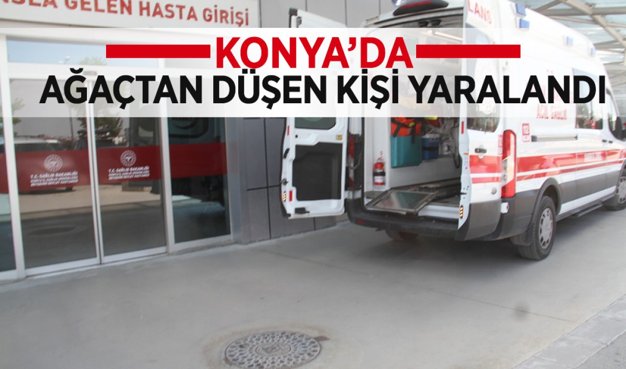  Konya’da ağaçtan düşen kişi yaralandı!