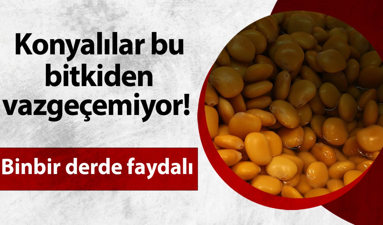 Konyalılar bu bitkiden vazgeçemiyor! Binbir derde faydası var