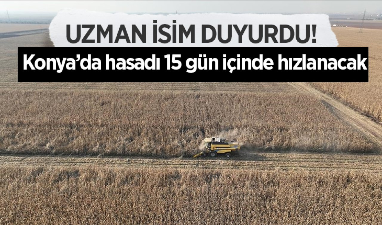  Uzman isim duyurdu! Konya’da hasadı 15 gün içinde hızlanacak