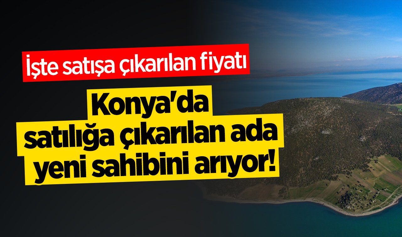 Konya’da satılığa çıkarılan ada yeni sahibini arıyor! İşte satışa çıkarılan fiyatı 