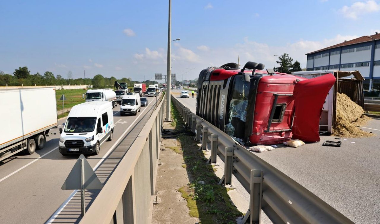  Arı sokması kazaya neden oldu: Devrilen tır 50 metre sürüklendi