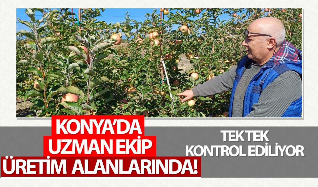  Konya’da uzman ekip üretim alanlarında! Tek tek kontrol ediliyor