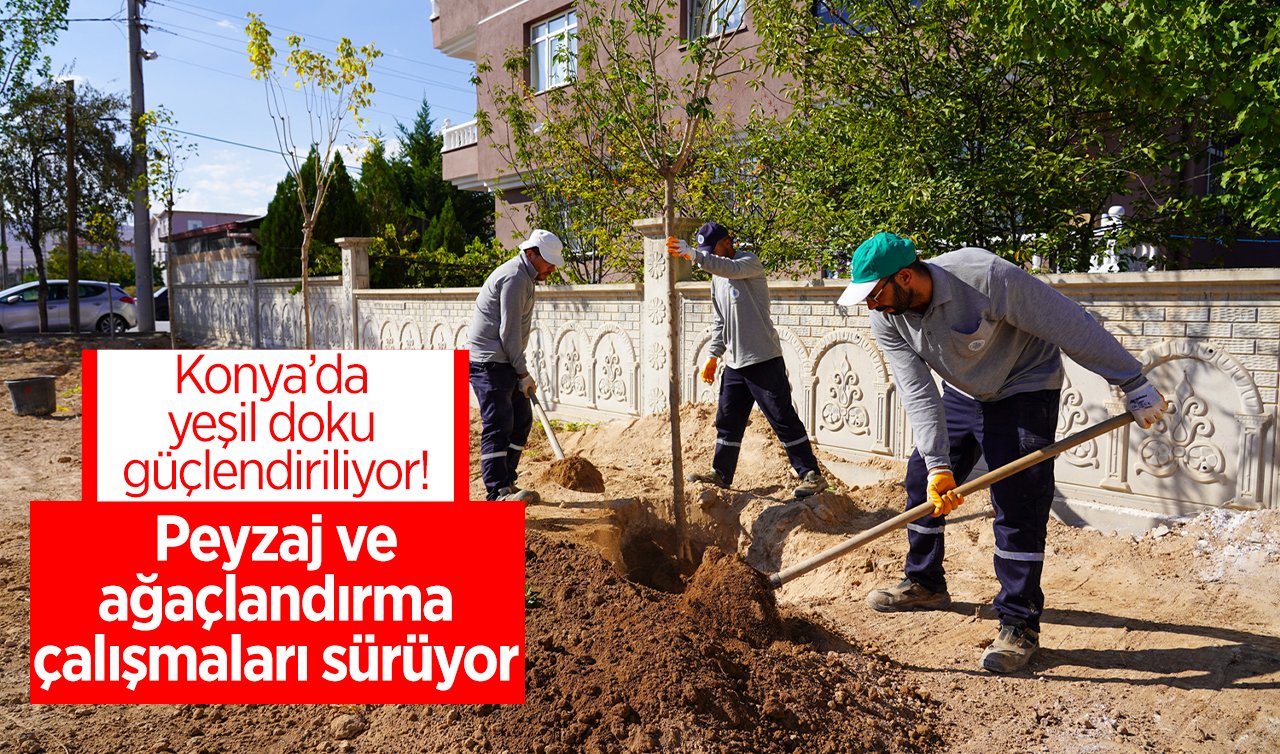 Konya’da yeşil doku güçlendiriliyor! Peyzaj ve ağaçlandırma çalışmaları sürüyor