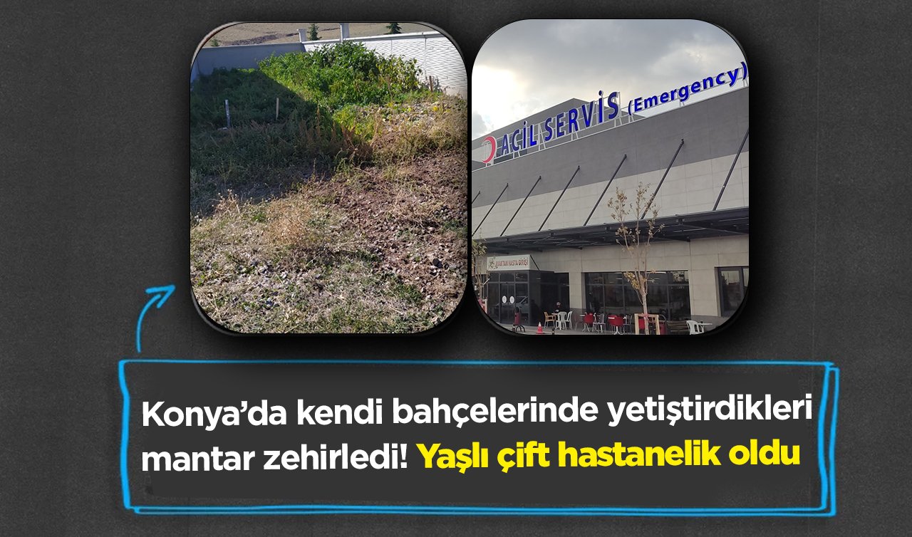  Konya’da kendi bahçelerinde yetiştirdikleri mantar zehirledi! Yaşlı çift hastanelik oldu 