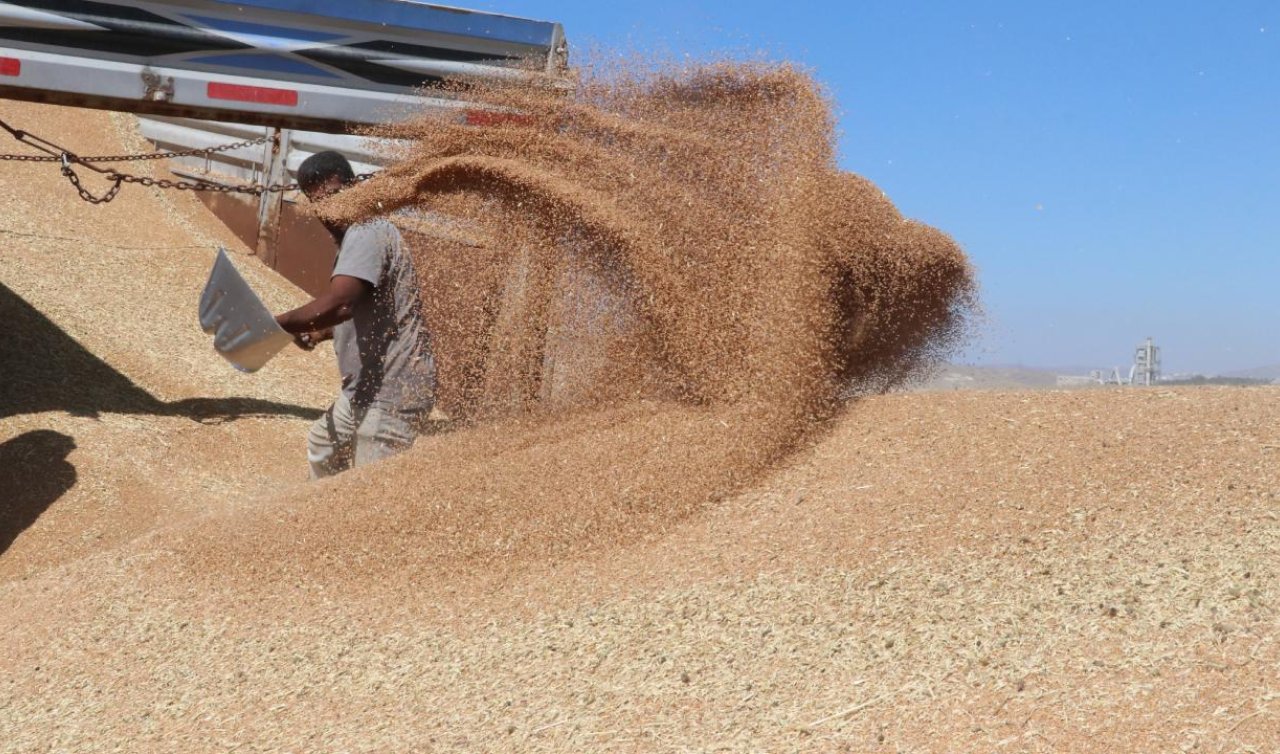  Hububat ve bakliyat ihracatı 9 milyar dolara ulaştı