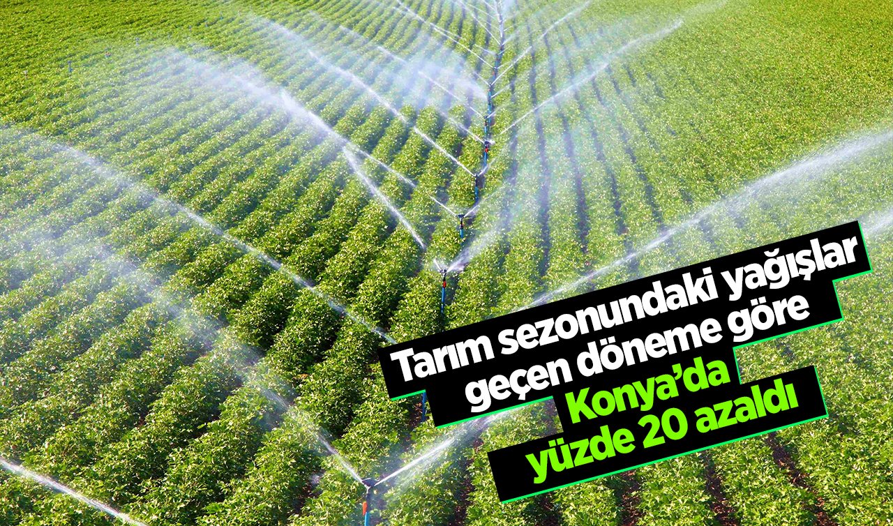 Tarım sezonundaki yağışlar geçen döneme göre Konya’da yüzde 20 azaldı