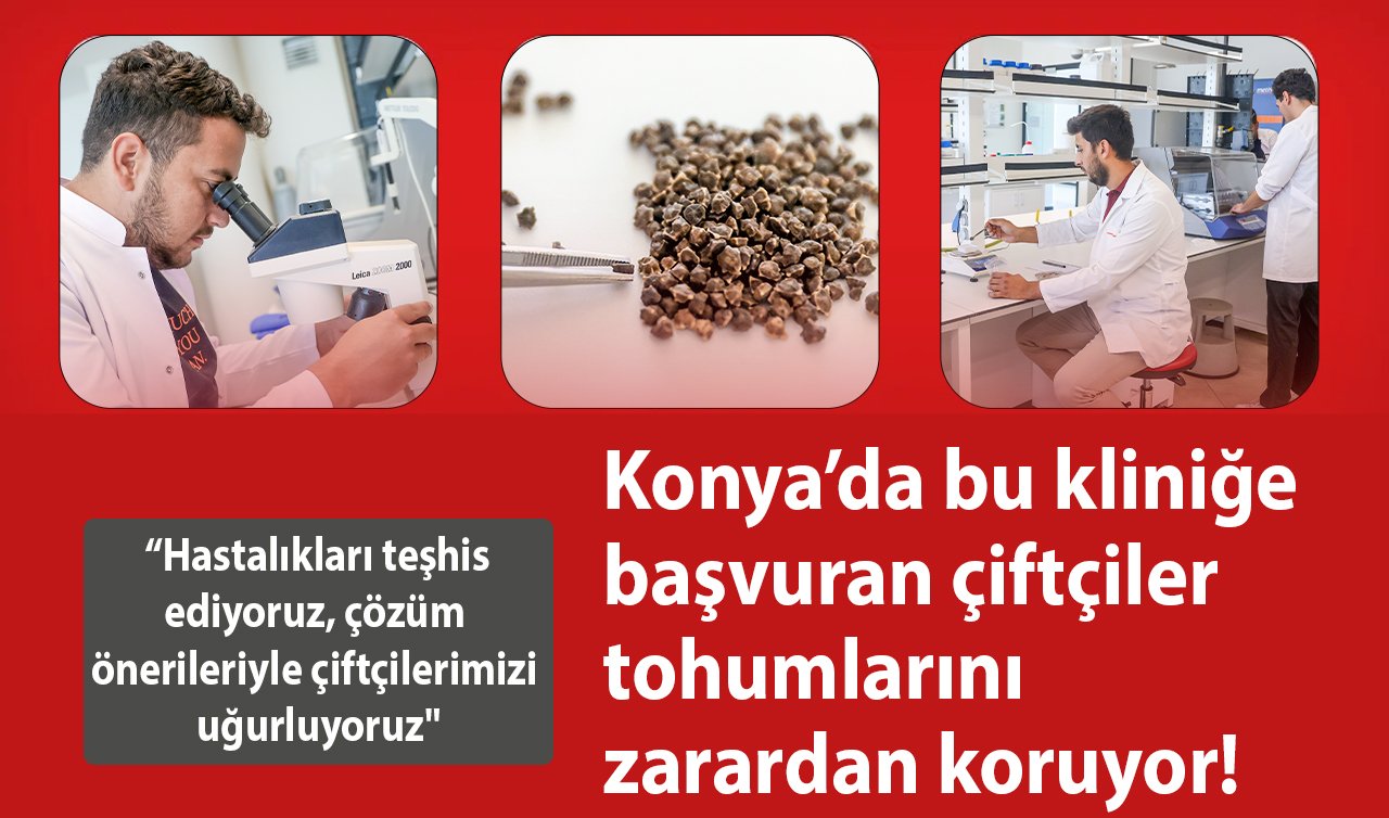 Konya’da bu kliniğe başvuran çiftçiler tohumlarını zarardan koruyor! “Hastalıkları teşhis ediyoruz çözüm önerileriyle çiftçilerimizi uğurluyoruz’’