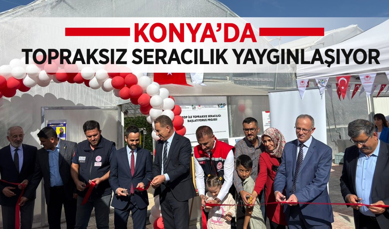 Konya’da topraksız seracılık yaygınlaşıyor!