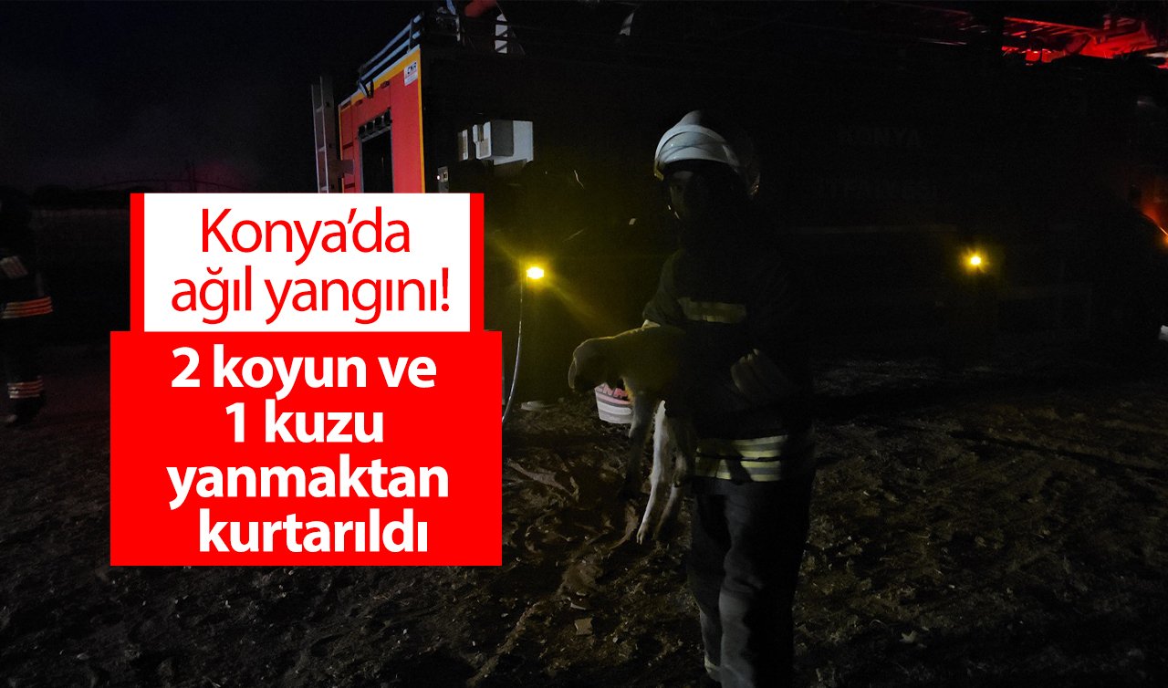  Konya’da ağıl yangını! 2 koyun ve 1 kuzu yanmaktan kurtarıldı