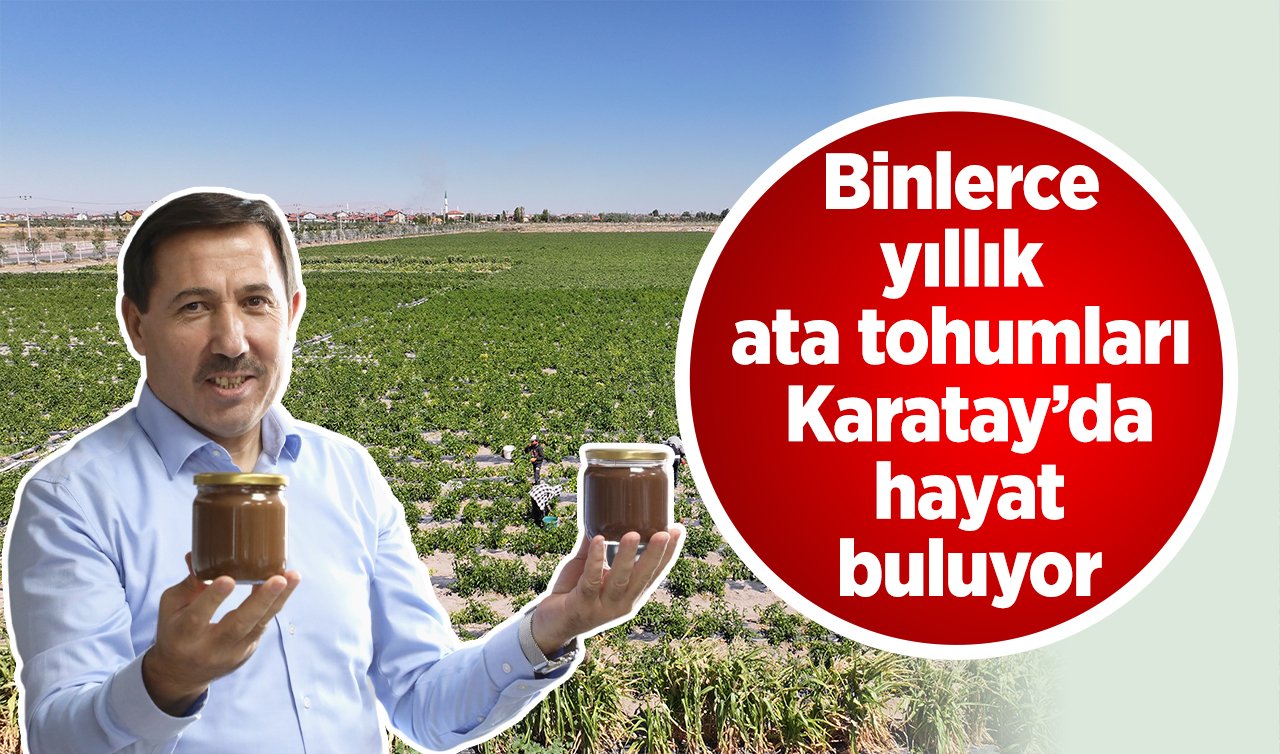 Binlerce yıllık ata tohumları Karatay’da hayat buluyor