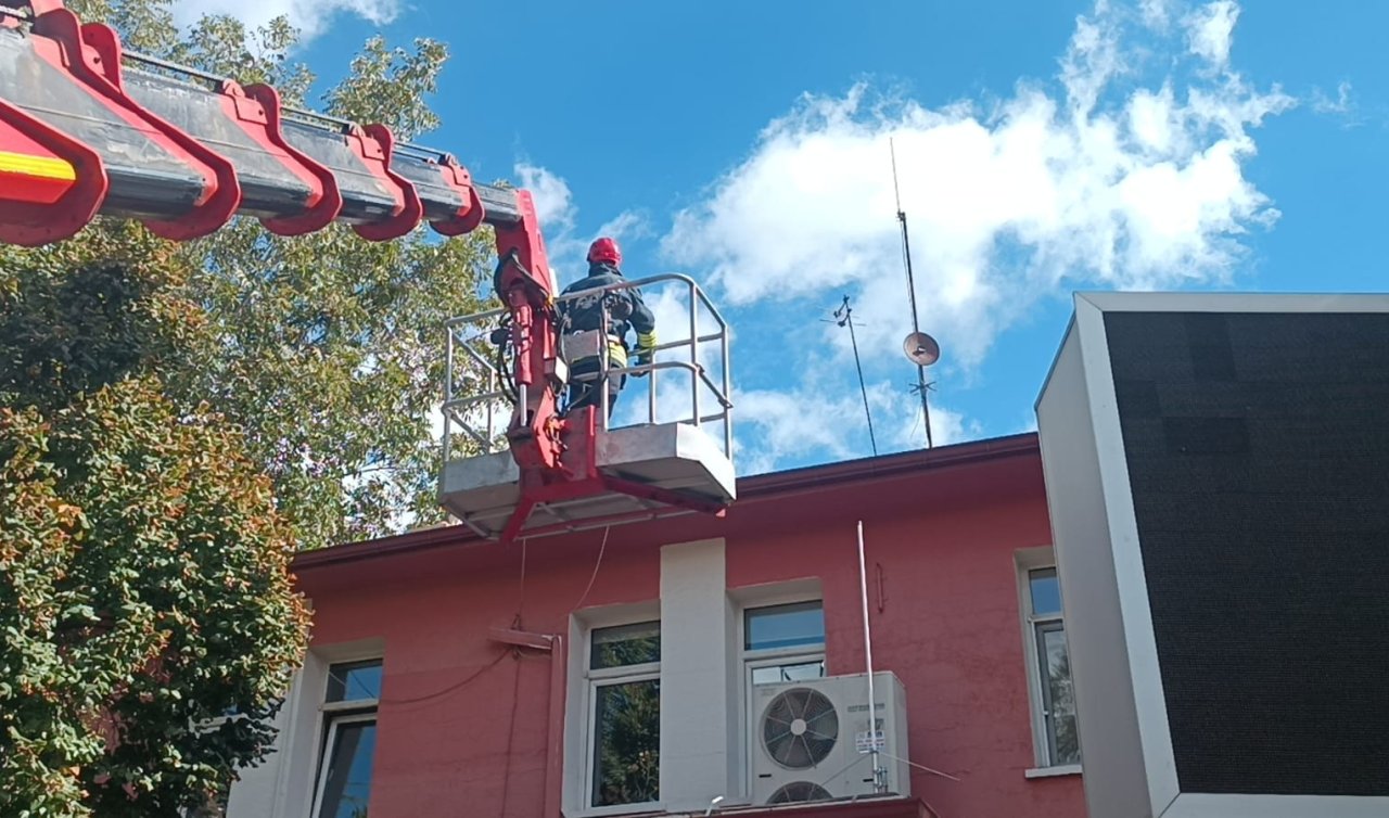 Konya’da çatı katında mahsur kalan kediyi itfaiye ekipleri kurtardı! 