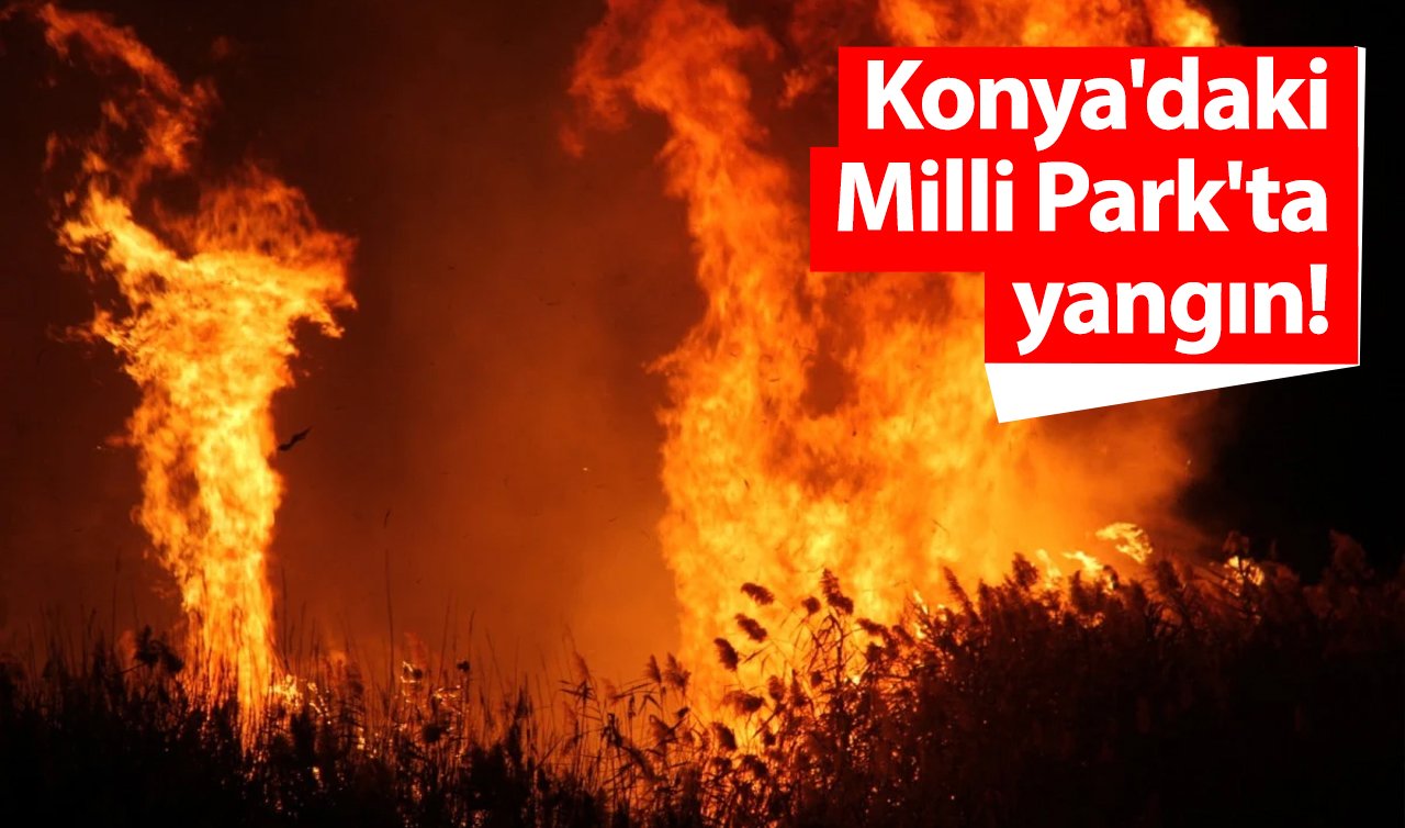  Konya’daki Milli Park’ta yangın! 