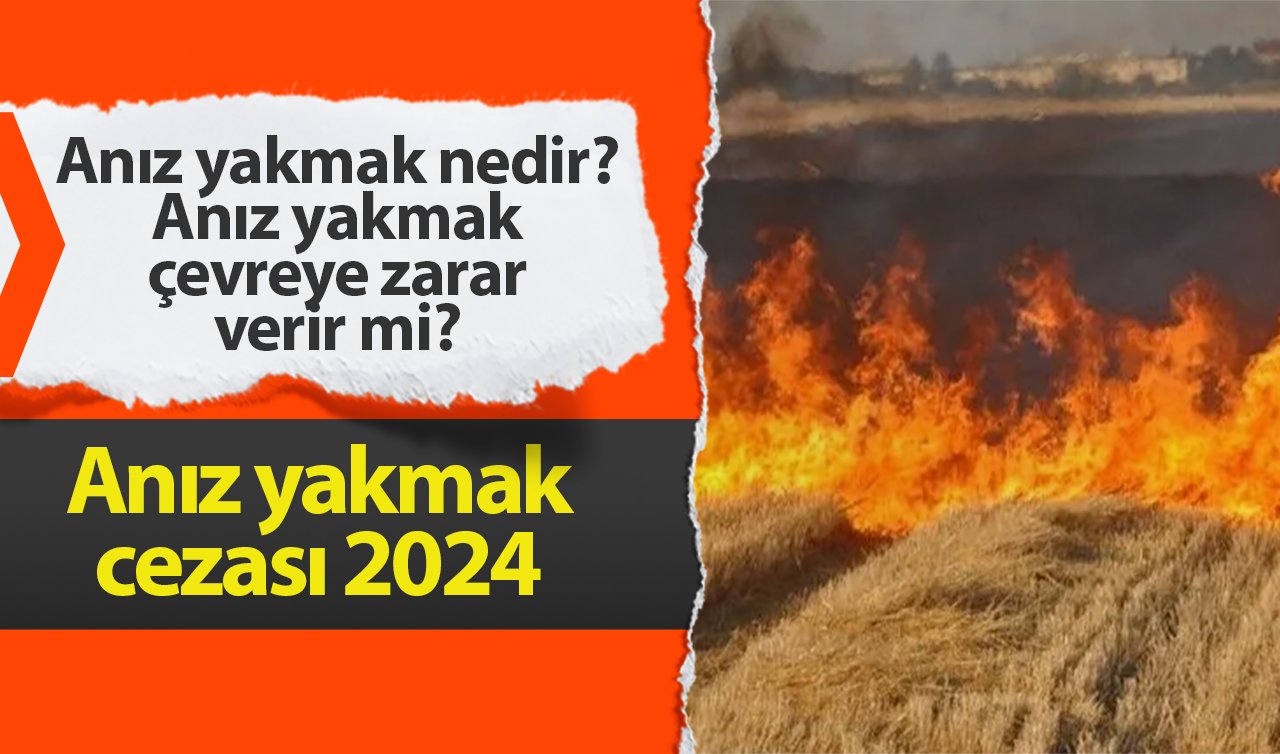  Anız yakmak nedir? Anız yakmak çevreye zarar verir mi? Anız yakmak cezası 2024 